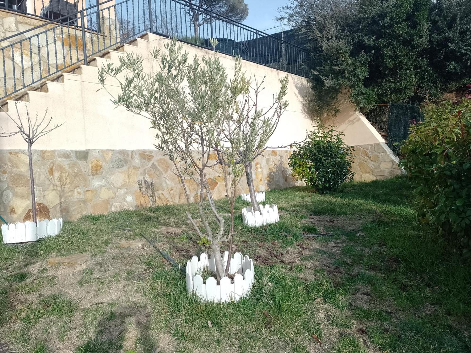 Gran Estudio De 50M2 Cerca Costa Brava Vidreres Eksteriør bilde